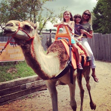 Creation Museum Camel Rides
