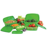 Magic Fresh Green Containers Only $9.99 + Shipping