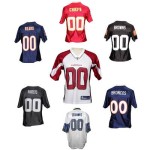 Reebok NFL Team Football Jersey Only $20 – Shipped (Reg $60)!