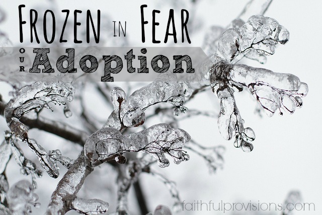 Our Adoption Journey-Fear