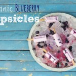 Organic Coconut Blueberry Popsicles