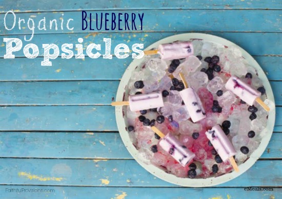 Organic Coconut Blueberry Popsicles | Faithful Provisions