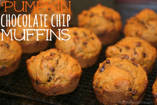 Pumpkin Chocolate Chip Muffins | Faithful Provisions