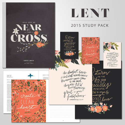 SheReadsTruth Lent Study Bundle | Faithful Provisions