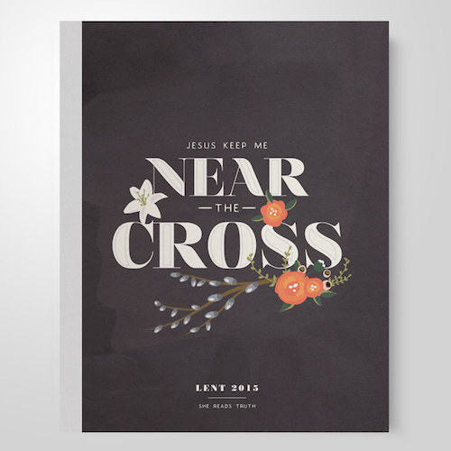 SheReadsTruth: Lent Study | Faithful Provisions