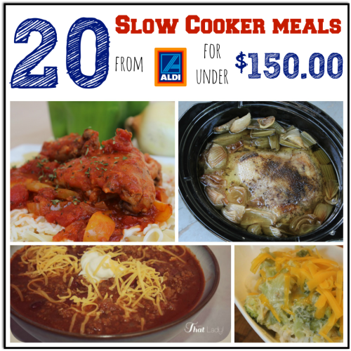 aldi slow cooker recipes