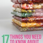 17 Things You Need to Know About Slow Cooker Freezer Meals