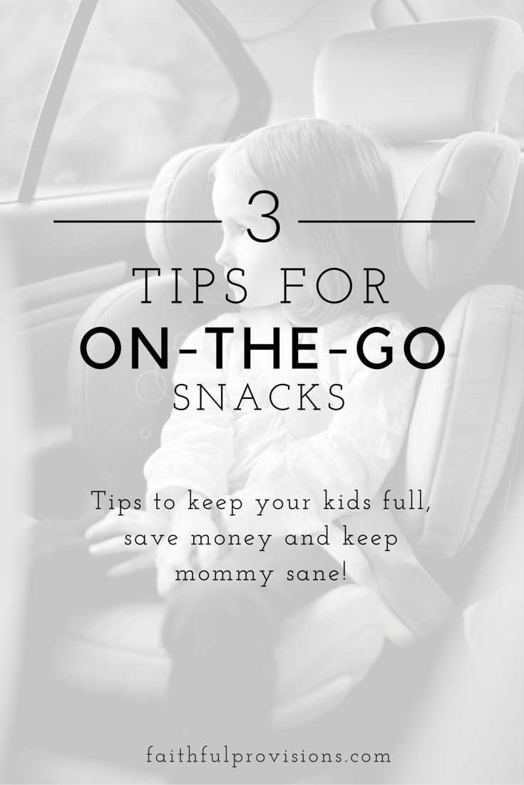 On The Go Snack Ideas