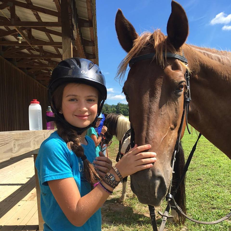 Horse Riding Lessons